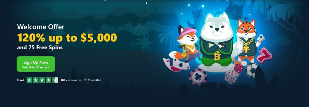 wild io casino screenshot of home page with offer